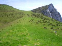 Pic du Gar 1756 m & Saillant 1785m Pic du Gar 1756 m & Saillant 1785m