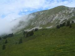 Grande Sure - boucle par les cols de la Grande Vache et de la Petite Vache Grande Sure - boucle par les cols de la Grande Vache et de la Petite Vache