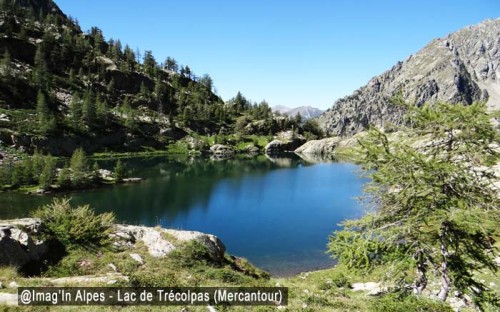 Lac de Trécolpas depuis la vacherie du Boréon Lac de Trécolpas depuis la vacherie du Boréon