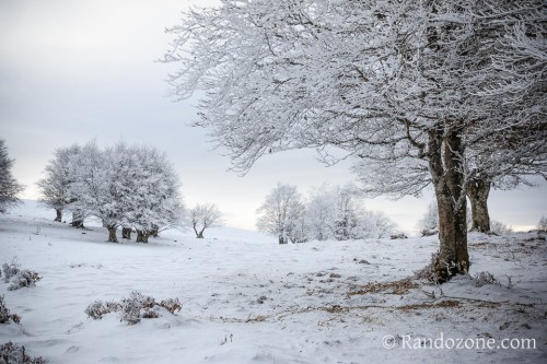 Allons marcher dans la neige poudreuse Allons marcher dans la neige poudreuse