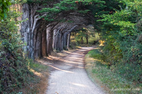 A la découverte de l'île d'Yeu A la découverte de l'île d'Yeu