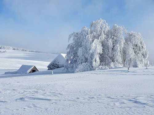 Randonnée en raquettes à neige près du Puy de Gudette Randonnée en raquettes à neige près du Puy de Gudette