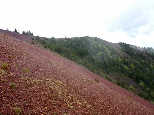Randonnée volcans Puy de la Vache et Puy de Lassolas Randonnée volcans Puy de la Vache et Puy de Lassolas