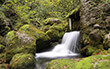 cascade3 cascade3