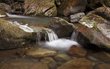 cascades4 cascades4