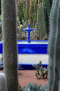 Balade dans le Jardin Majorelle à Marrakech Balade dans le Jardin Majorelle à Marrakech