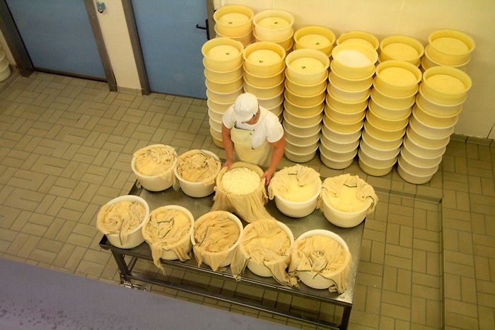 Fabrication du bleu de Gex : on fabrique le fromage