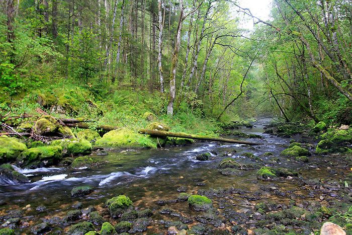 Découverte du pays de Gex