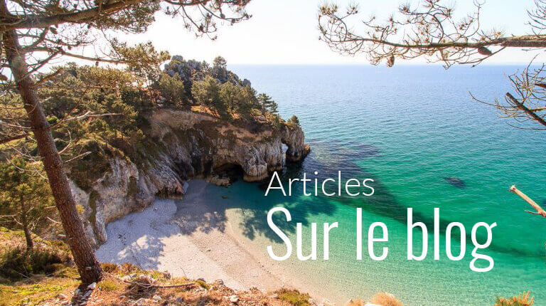 Magazine : les articles � lire sur le blog