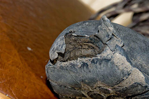 Test terrain chaussures de trekking Meindl Himalaya Test chaussures de trekking Meindl Himalaya