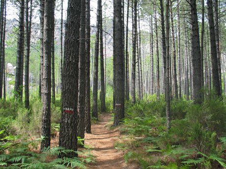 On se rapproche de la mer On se rapproche de la mer