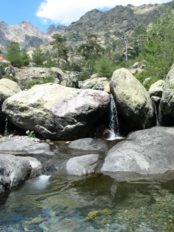 Les vasques Les vasques