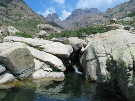 Piscine naturelle Piscine naturelle