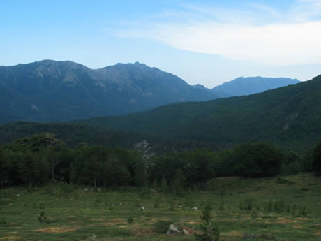 Descente et plateau Descente et plateau