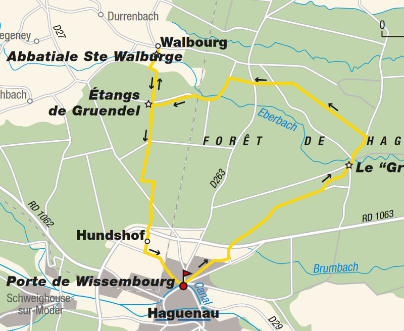 Sentier du gros chêne Miniature