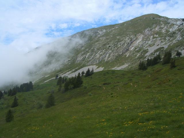 Lien topo Grande Sure - boucle par les cols de la Grande Vache et de la Petite Vache Grande Sure - boucle par les cols de la Grande Vache et de la Petite Vache