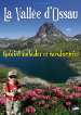 Vallée d'Ossau - Special Balades et Randonnées Vallée d'Ossau - Special Balades et Randonnées