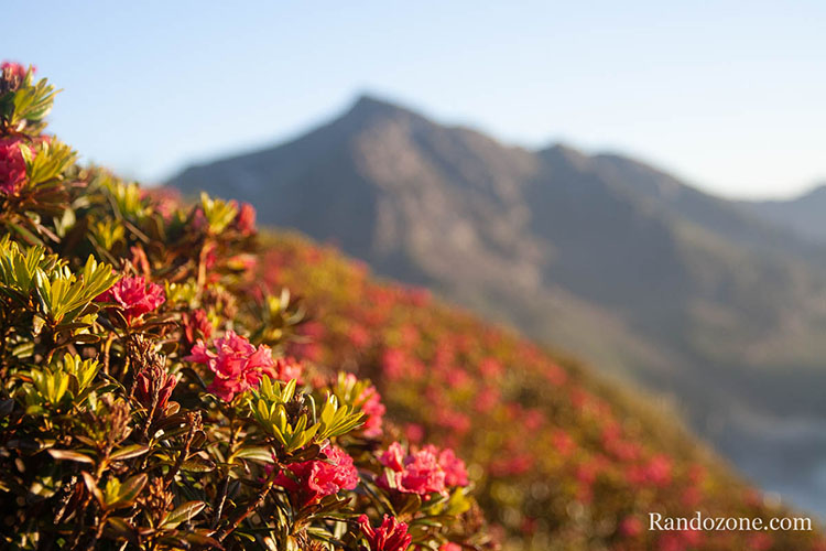 Randonnées dans les Pyrénées Face nord du Vignemale au lever du jour