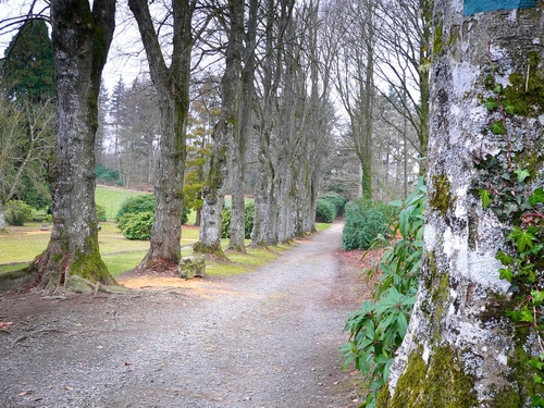 Vallée du Noireau Image Panoramio