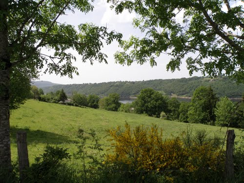 Abeilles, miel et volcans: visite d'une miellerie en Auvergne Image Panoramio