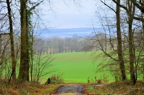 Sentier des Vallons : Blangy sur Ternoise Image Panoramio