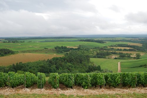 Les Chemins de Renoir Image Panoramio