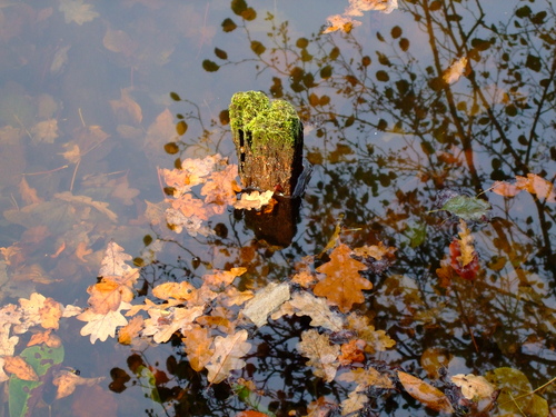 Le jardin des fontaines pétrifiantes en Isère Image Panoramio