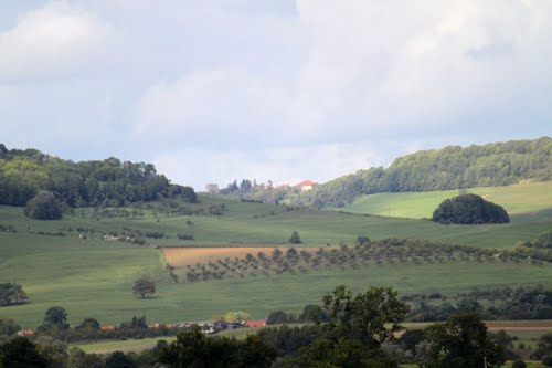la Forêt enchantée Image Panoramio