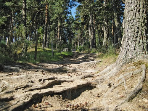 4 randonnées au départ de Saint-Alban-sur-Limagnole Image Panoramio