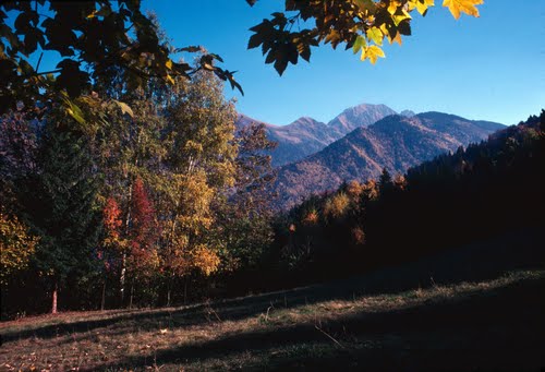Le sentier du Fer Image Panoramio
