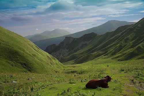 Randonnée à la Table Basaltique de Chastel Image Panoramio