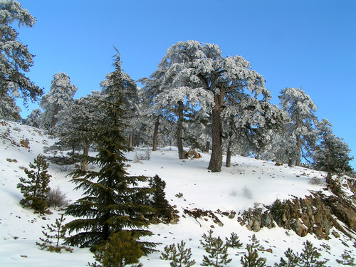 Chemin de randonnée européen E4 : section Chypre Image Panoramio