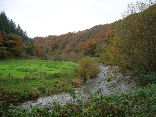 La Saga de Kernansquillec Image Panoramio