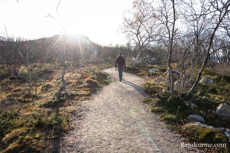 Sentier bien aménagé sur le début de la randonnée vers le mont Saana Sentier bien aménagé sur le début de la randonnée vers le mont Saana
