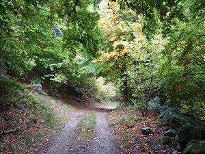 ACTIVITE 4 randonnées au départ de Saint-Alban-sur-Limagnole 4 randonnées au départ de Saint-Alban-sur-Limagnole