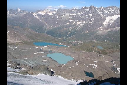 Petit Cervin Miniature