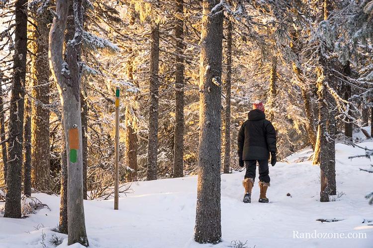 Test de la doudoune Arc'Teryx Alpha Parka en Finlande Test de la doudoune Arc'Teryx Alpha Parka en Finlande