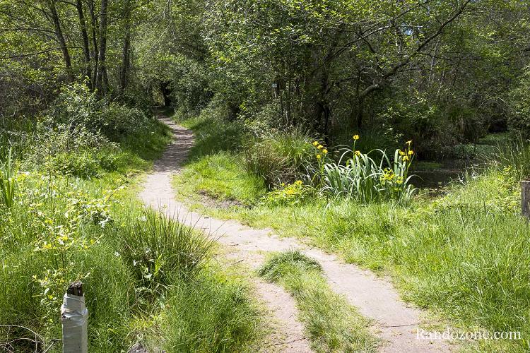 Sentier facile autour de l'étang d'Aureilhan Sentier facile autour de l'étang d'Aureilhan