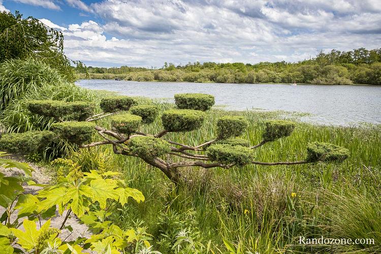 Passage sur la promenade fleurie Passage sur la promenade fleurie