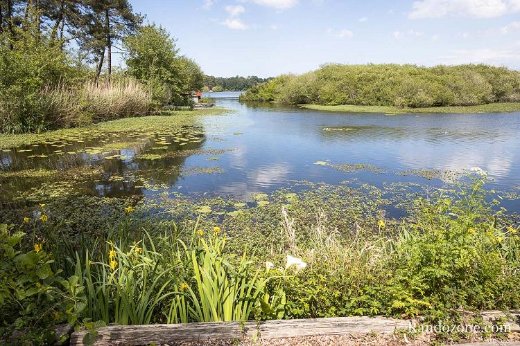Circuit de l'étang d'Aureilhan Circuit de l'étang d'Aureilhan