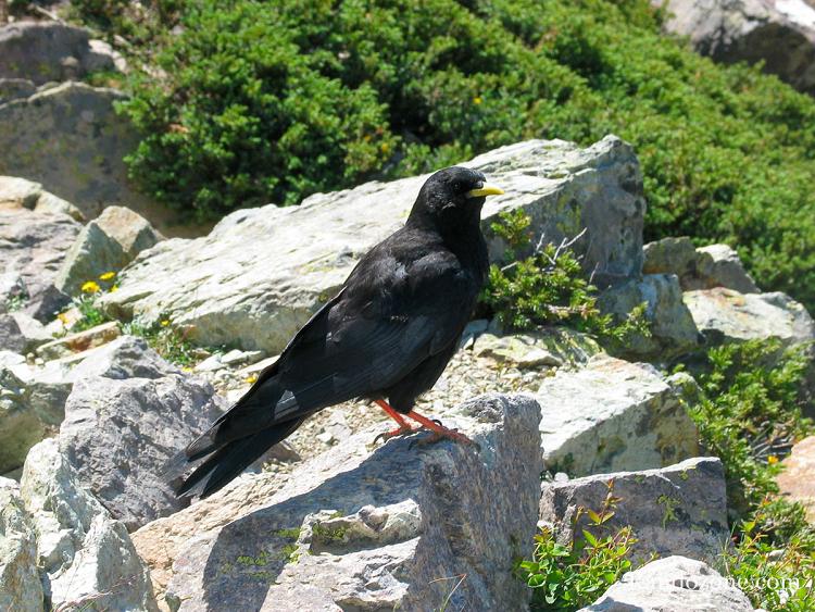 Il est intéressé par les miettes qu'on peut laisser Il est intéressé par les miettes qu'on peut laisser