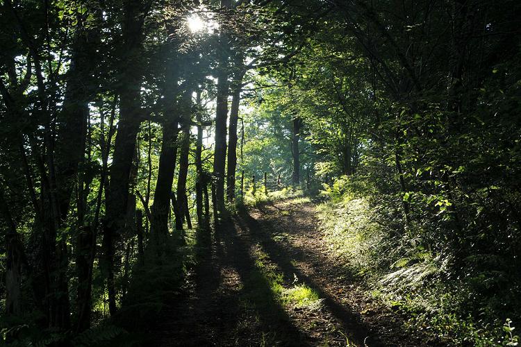 Elizaberri / Crédit photo : B. Valcke Elizaberri / Crédit photo : B. Valcke