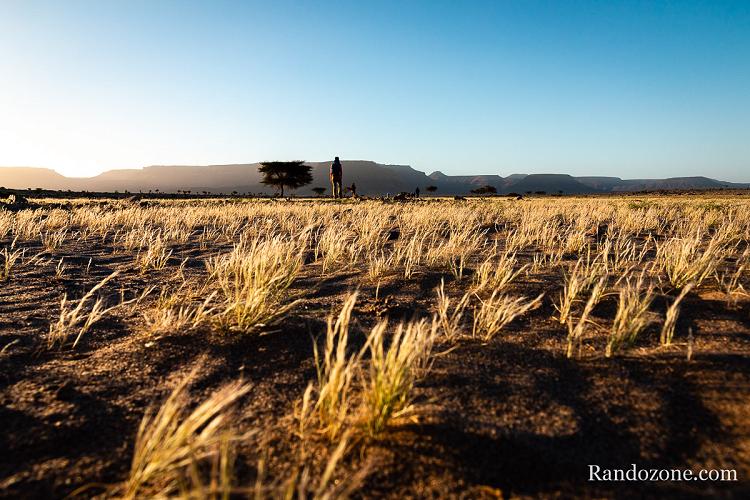 Photo au ras du sol dans le désert en Mauritanie Photo au ras du sol dans le désert en Mauritanie