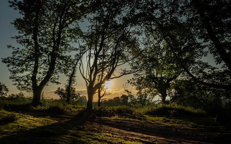 Randonnée Ibanteli - Crédit photo : B. Valcke Randonnée Ibanteli - Crédit photo : B. Valcke