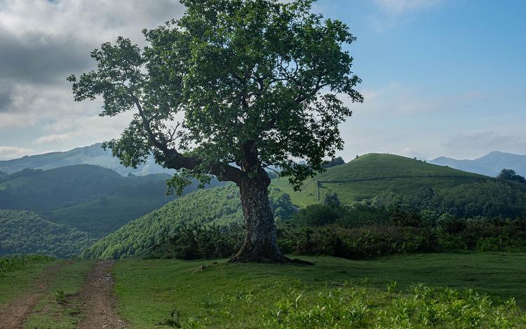 Randonnée Ibanteli - Crédit photo : B. Valcke Randonnée Ibanteli - Crédit photo : B. Valcke