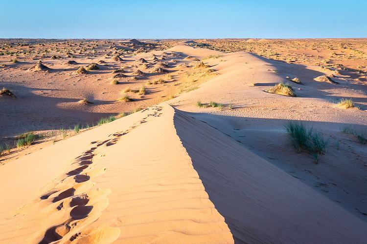 Trek dans le désert en Mauritanie Trek dans le désert en Mauritanie