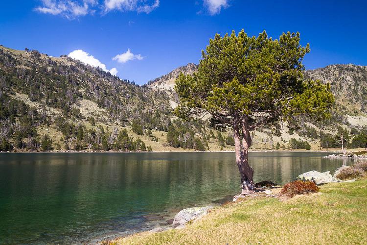 Lac dans le massif du Néouvielle Lac dans le massif du Néouvielle
