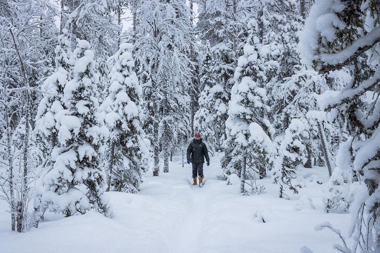 Test du pantalon imperméable Pouring Adventure™ III Femme en Finlande Test du pantalon imperméable Pouring Adventure™ III Femme en Finlande