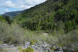 Trace gps Randonnée dans la forêt domaniale de la Haute Fillière Randonnée dans la forêt domaniale de la Haute Fillière
