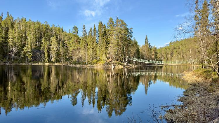 Pont suspendu Harrisuvanto le long du sentier Karhunkierros à Kuusamo, Finlande Pont suspendu Harrisuvanto le long du sentier Karhunkierros à Kuusamo, Finlande